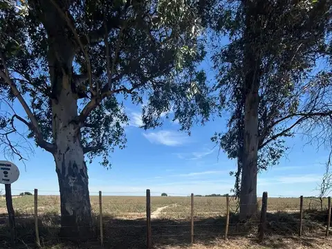 CAMPO EN VENTA 38 HECTAREAS A 700 MTS DE RUTA 130