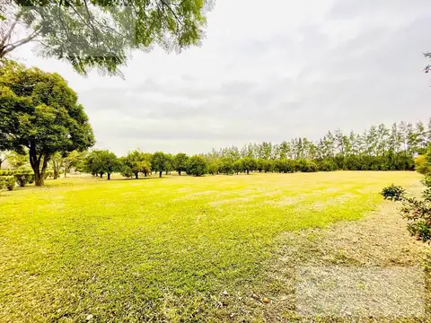 Club de Campo Las Moritas