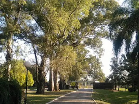 Ruta Provincial 2 100