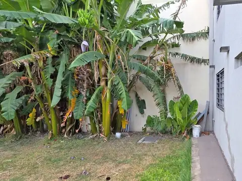 Vicente Camargo 1900