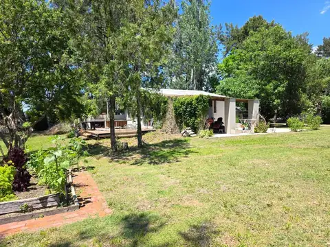 ALQUILER COMERCIAL CASA GRAN LOTE ZONA NORDELTA