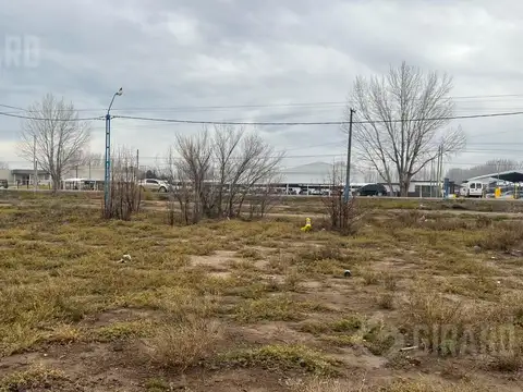 Terreno en Venta en General Roca, USD 36.900