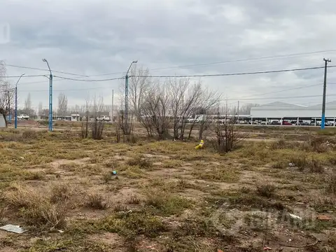 Terreno en Venta 24  mts Fondo