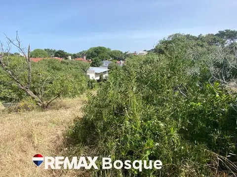 Terreno en Venta en Ostende, USD 39.500