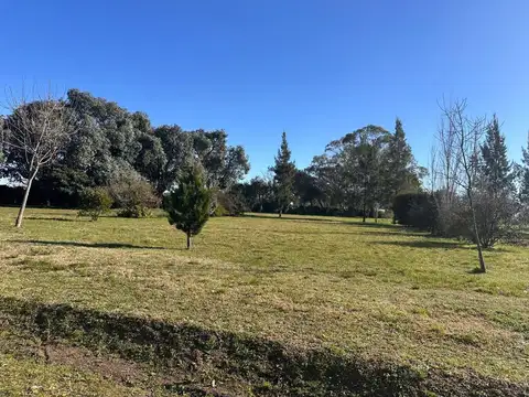 Terreno en Venta de 1145,0 m2