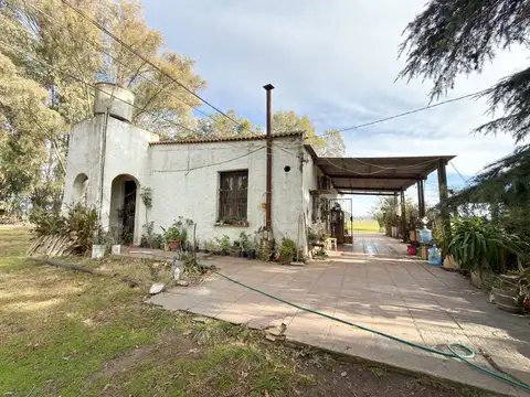 CHAPALEUFU 1300