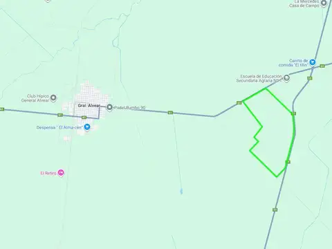 Ruta 61