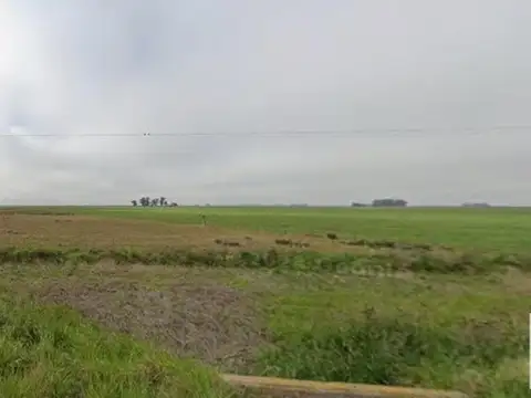 Ruta 61