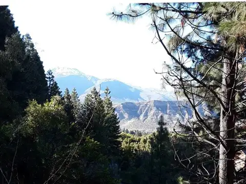 Terreno en Venta de 13000,0 m2