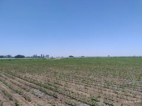TERRENO INDUSTRIAL DE 20 HECTAREAS SOBRE CIRCUNVALACION-ALTA GRACIA-CORDOBA