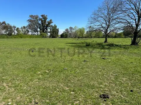Terreno en Venta 290  mts Fondo