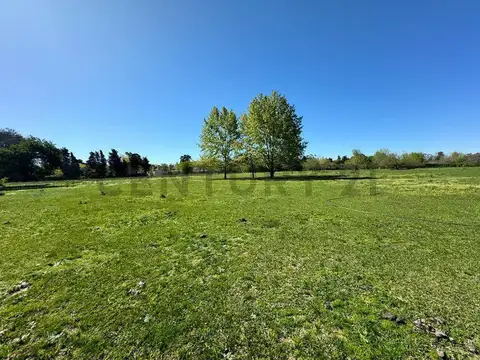 Los Jazmines y Las Campanillas , Piso 0