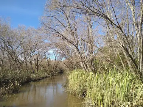 Terreno en Venta en Delta del Tigre, USD 15.000
