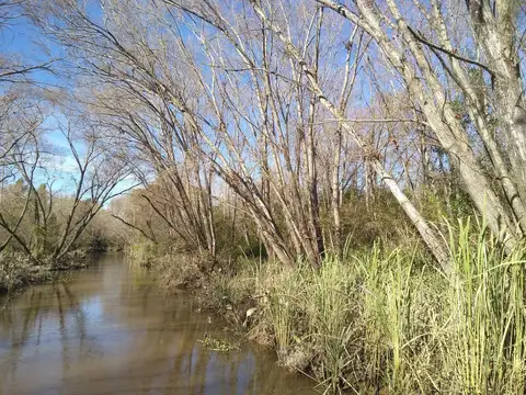 Terreno en Venta de 8000,0 m2