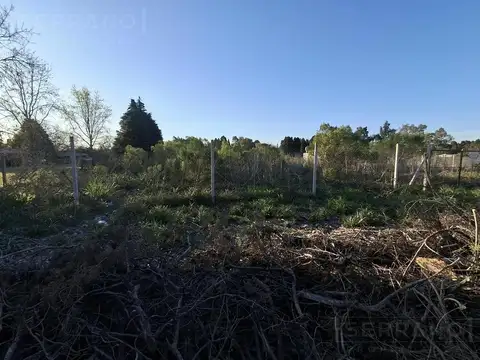 Del portigo  al 600