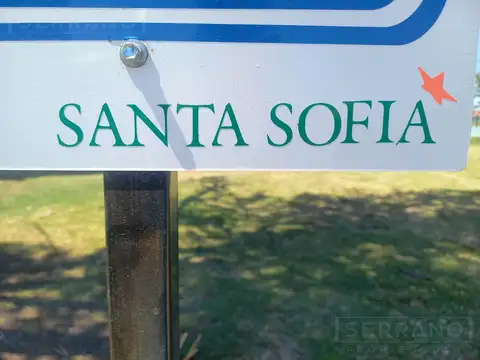 Venta Lote en Santa Sofia Pilar del Este.