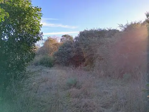 Terreno en Venta de 1776,0 m2