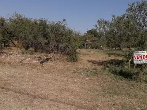 Los Eucaliptus 500
