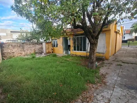 Miguel David 1200