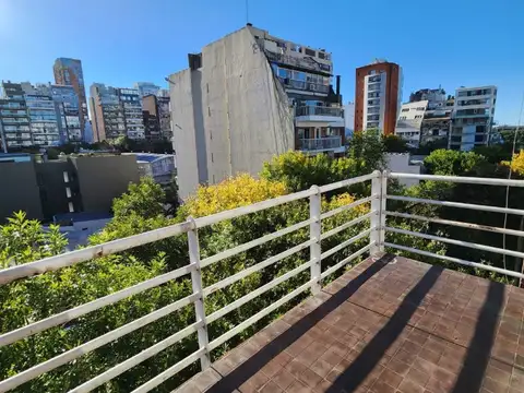 Báez 200, Piso 6