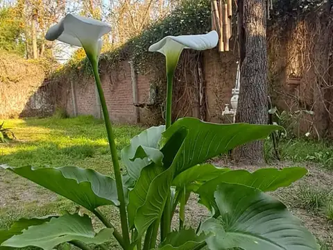 Casa 4 ambientes con 2 baños
