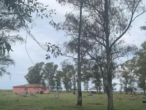 Ruta Provincial 30 km 300 ROQUE PEREZ