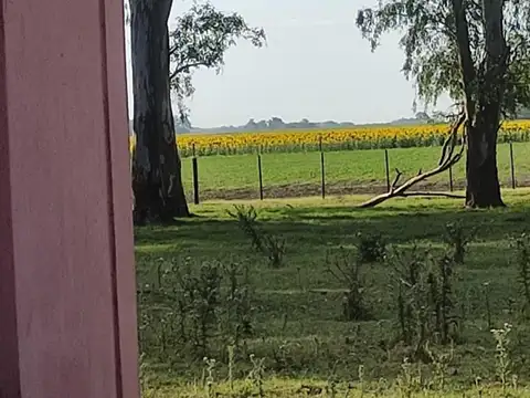 VENTA CAMPO  ROQUE PEREZ- PROVINCIA