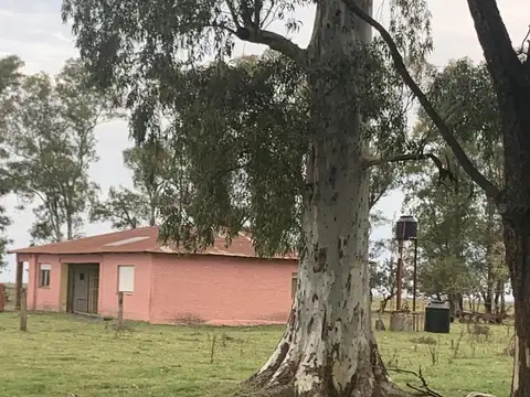 VENTA CAMPO  ROQUE PEREZ- PROVINCIA