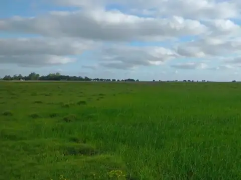 Hectáreas en venta Lezama