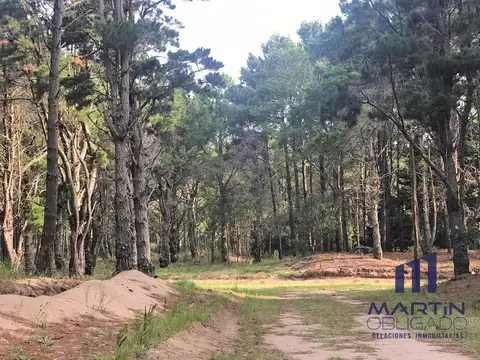 Terreno en Venta en Costa del Este, USD 70.000