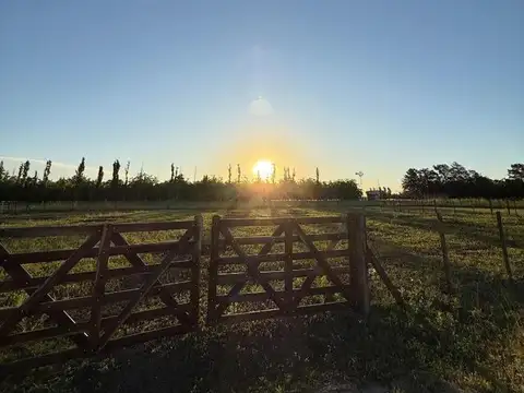 Tucuman