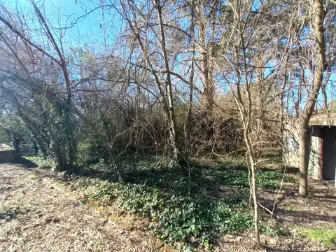 La Comarca