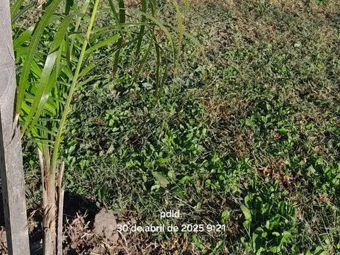 Terreno en Venta de 434,0 m2