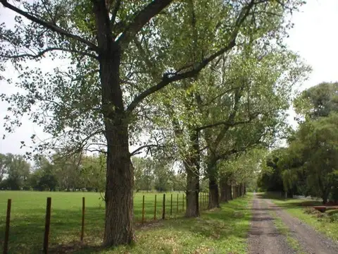 Campo en Venta con Alambrado