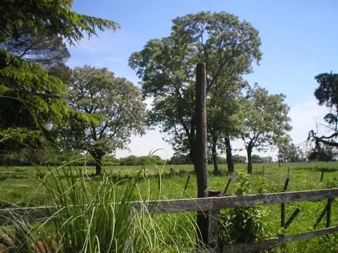 Campo en Venta de 1  ha