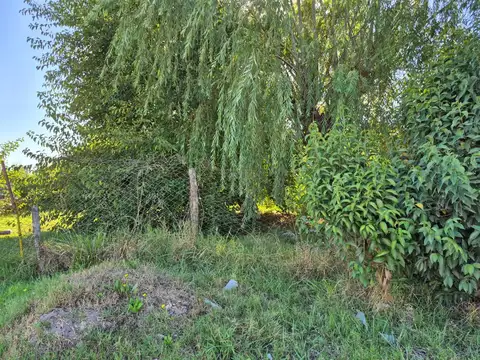 Terreno en Venta de 240,0 m2