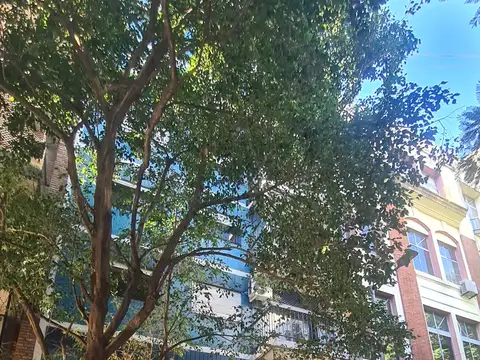Pacheco de Melo 2900, Piso 6