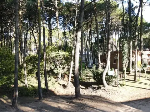 Terreno en Venta de 975,0 m2