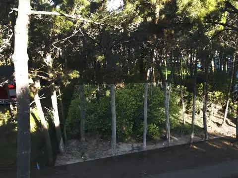 Terreno en Venta 27,18  mts Frente