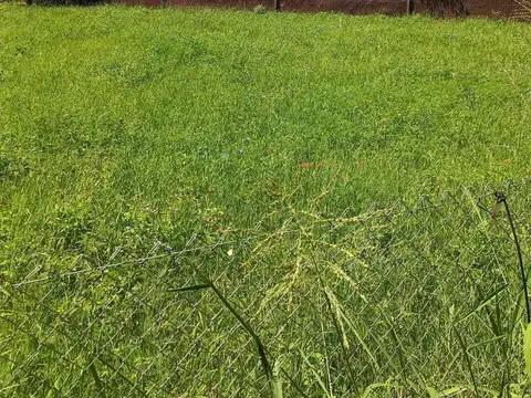 Terreno en Venta de 810,0 m2