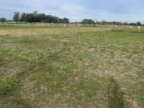 Nortes Del Pilar 00