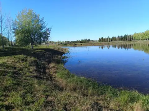 Terreno en Venta en Coronel Brandsen, USD 20.000