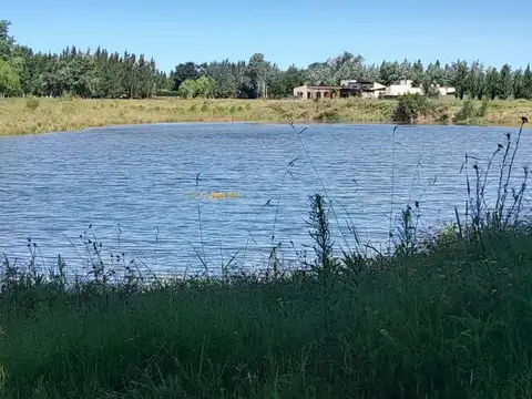 Terreno en Venta de 980,0 m2