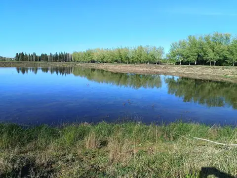 Terreno en venta - 980mts2 - El Retiro, Coronel Brandsen