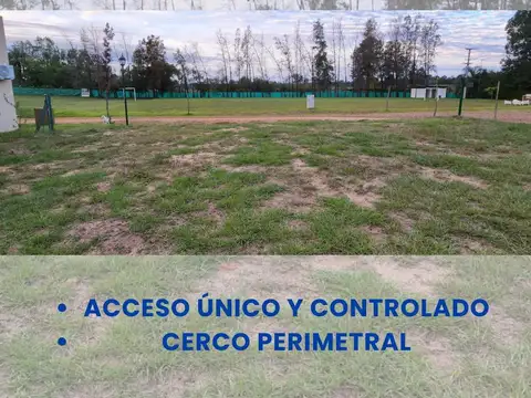 Antonio Palmiro Castagnini