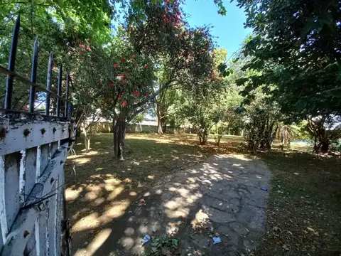 TUPAC AMARU 1000
