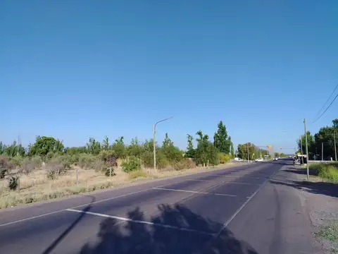 Terreno en Venta en Colonia Jara, USD 42.000