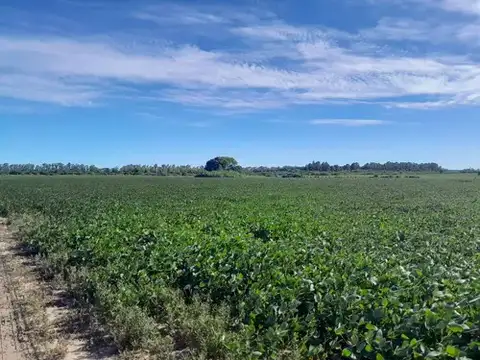 Campo en Venta de 24  ha