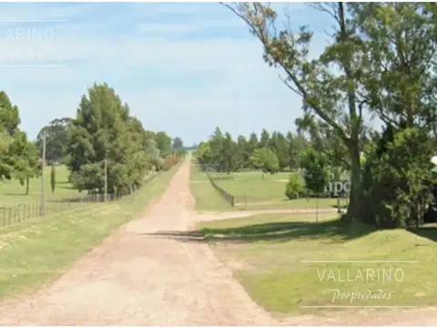Terreno en Venta 19  mts Fondo