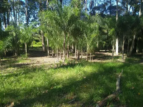 Terreno Lote  en Venta en Parana Miní, Zona Delta, San Fernando